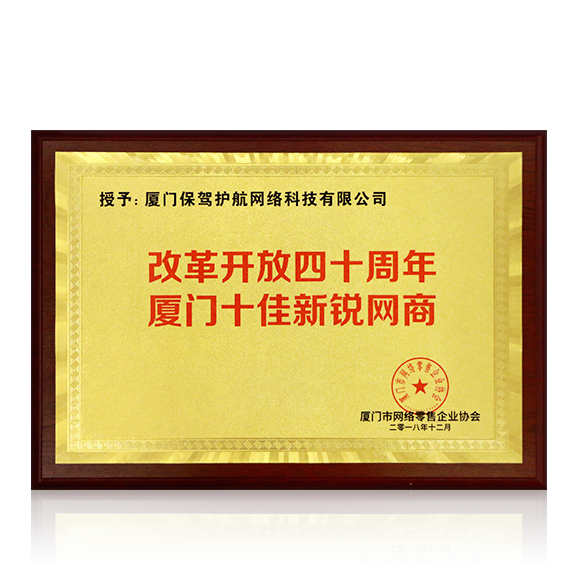 十佳新锐网商