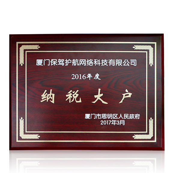 2016纳税大户